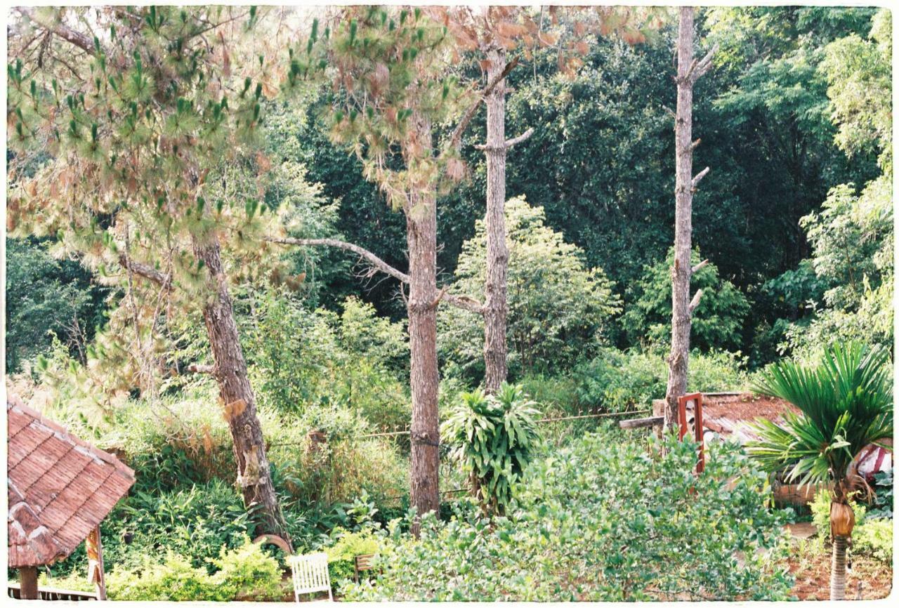 Sum Villa Homestay Mang Den Kon Von Kla Εξωτερικό φωτογραφία